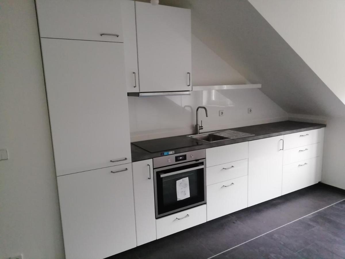 Ferienwohnung Am Stadtpark Chemnitz Bagian luar foto